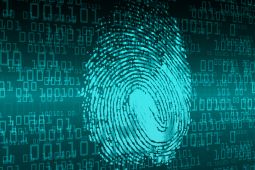 Fingerprint and digital numbers