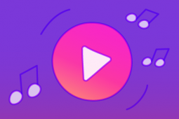 Fundamentals for Content Creators